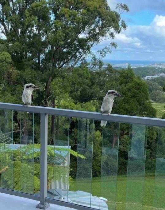 Ocean View Oasis, Coffs Harbour Apartment Exterior photo